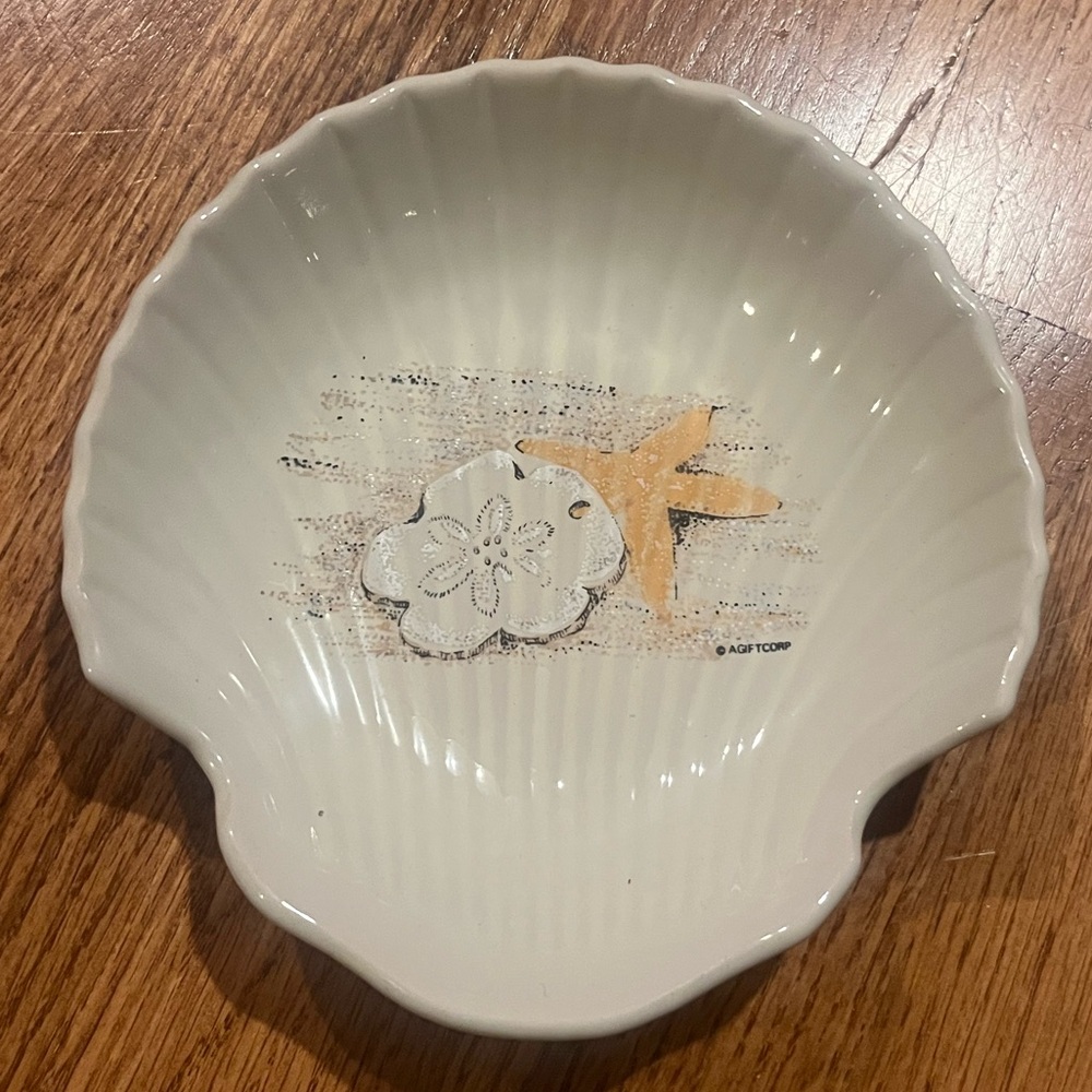 Elegant clam  Shell  shaped Dish with beach Accent